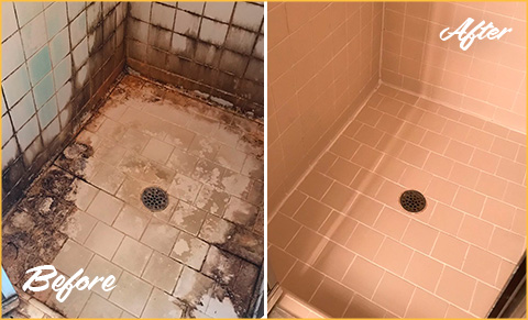 These Floors in Park Ridge Receive a Full Restoration From Our Grout  Cleaning Experts